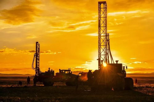 學習先進典型 有技術會創新 能擔當善作為