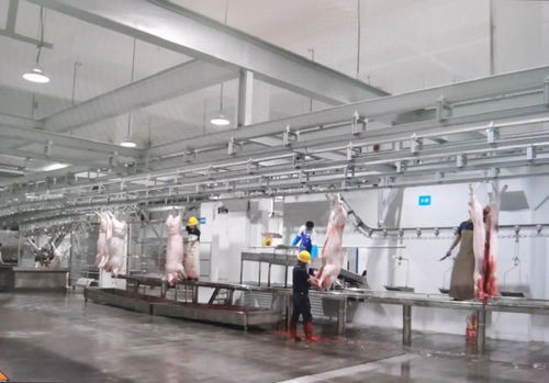 民生實(shí)事 區(qū)肉聯(lián)廠遷建項(xiàng)目一期工程竣工驗(yàn)收運(yùn)營(yíng)