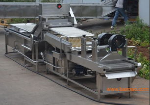 廠家直銷優質大蒜清洗風干機,廠家直銷優質大蒜清洗風干機生產廠家,廠家直銷優質大蒜清洗風干機價格